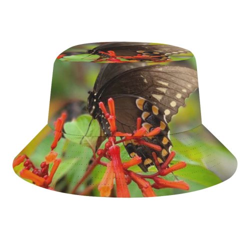 yanfind Adult Fisherman's Hat Nectar Bee Images Insect Fl Plant Free States Natural Largo Invertebrate Honey Fishing Fisherman Cap Travel Beach Sun protection