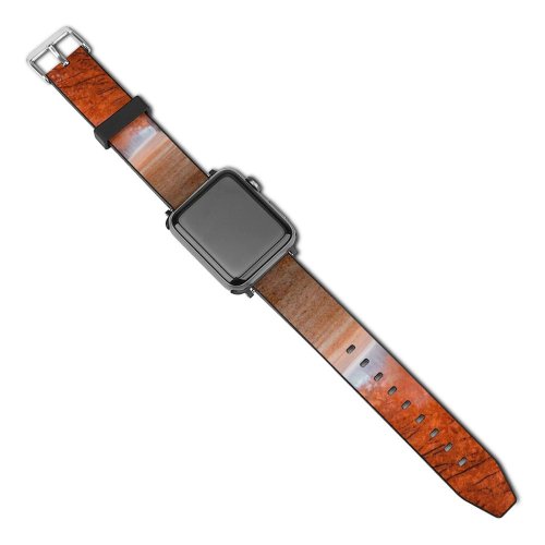 yanfind Watch Strap for Apple Watch Autumn Trees Path Foggy Mist Morning Fall Compatible with iWatch Series 5 4 3 2 1