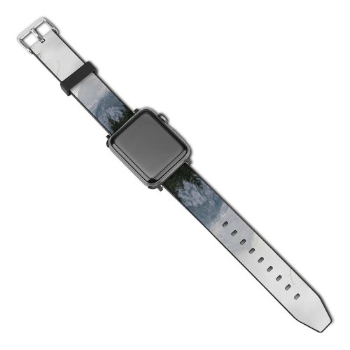 yanfind Watch Strap for Apple Watch Abies Pine Plant Spruce Pictures Outdoors Grey Tree Fir Free Conifer Compatible with iWatch Series 5 4 3 2 1
