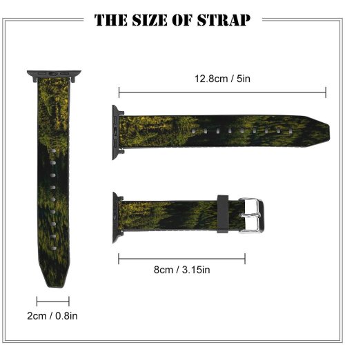 yanfind Watch Strap for Apple Watch Abies Pine Plant Spruce Pictures Stock Tree Fir Free Conifer Images Compatible with iWatch Series 5 4 3 2 1