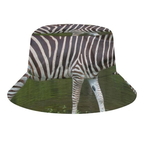 yanfind Adult Fisherman's Hat Images Country Fl Wildlife Wallpapers Safari Stock Loxahatchee Free Stripes Zebra Pictures Fishing Fisherman Cap Travel Beach Sun protection