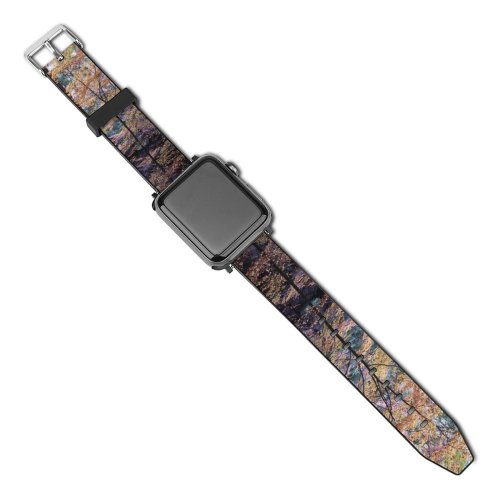 yanfind Watch Strap for Apple Watch Abies Tree Estrela Plant Fir Free Trunk Fall Portugal Stock Wallpapers Compatible with iWatch Series 5 4 3 2 1