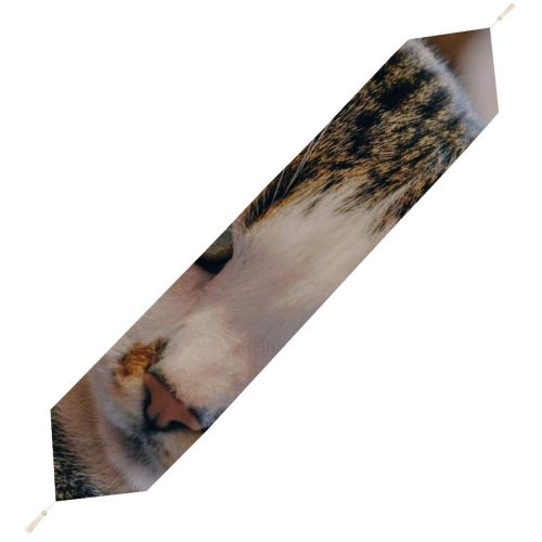 Yanfind Table Runner Young Kitty Pet Kitten Portrait Tabby Whiskers Curiosity Cute Little Adorable Cat Everyday Dining Wedding Party Holiday Home Decor