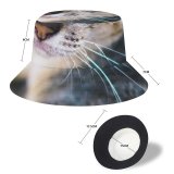 yanfind Adult Fisherman's Hat Lovely Images Penh Shoot Abyssinian Pictures Pet Kitten PNG Phnom Cambodia Cat Fishing Fisherman Cap Travel Beach Sun protection