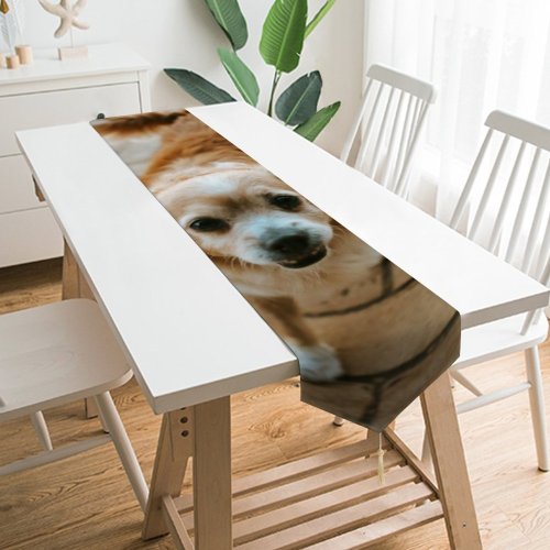 Yanfind Table Runner Walkway Pet Strap Pavement Pictures Floor Stock Spaniel Flagstone Cocker Free Everyday Dining Wedding Party Holiday Home Decor