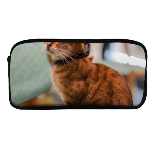 yanfind Pencil Case YHO Lovely Images Wuhan Decor China Plant Abyssinian Pictures Pet Home Manx Free Zipper Pens Pouch Bag for Student Office School