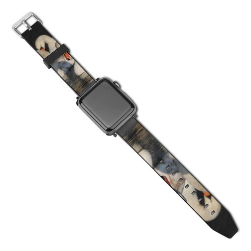yanfind Watch Strap for Apple Watch  Winter Lake Elegant Bird Vertebrate Beak Ducks Geese Swans Duck Waterfowl Compatible with iWatch Series 5 4 3 2 1