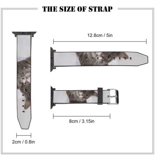 yanfind Watch Strap for Apple Watch Fluffy Scare Cotton Kitten PNG Cat Wool Bed Wallpapers Manx Images Compatible with iWatch Series 5 4 3 2 1