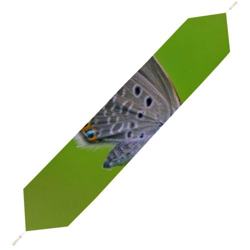 Yanfind Table Runner Blur Focus Butterfly Delicate Insect Wings Depth Field Lepidoptera Macro Wildlife Pollen Everyday Dining Wedding Party Holiday Home Decor