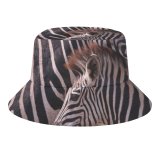 yanfind Adult Fisherman's Hat Images Wildlife Wallpapers Grey Zebra Pictures Free Fishing Fisherman Cap Travel Beach Sun protection