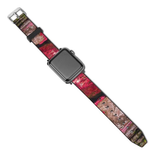 yanfind Watch Strap for Apple Watch Caño Cristales River Serranía De La Macarena  Rocks Colombia Compatible with iWatch Series 5 4 3 2 1