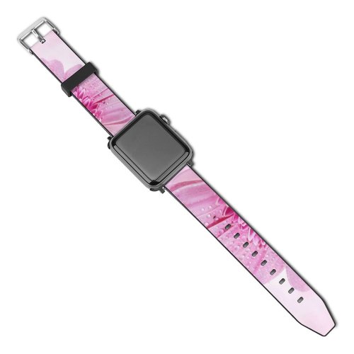 yanfind Watch Strap for Apple Watch Bruno Glätsch Flowers Gerbera Daisy Flower Drops Dew Drops Closeup Macro Compatible with iWatch Series 5 4 3 2 1