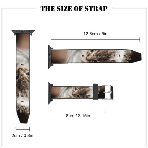 yanfind Watch Strap for Apple Watch Adorable Kitty Sunlight Free Kitten Cat Wallpapers Cute Images First Pictures Compatible with iWatch Series 5 4 3 2 1