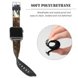 yanfind Watch Strap for Apple Watch Abies Pine Plant Spruce Bagrationowsk Россия Калининградская Pictures Stock Область Tree Compatible with iWatch Series 5 4 3 2 1