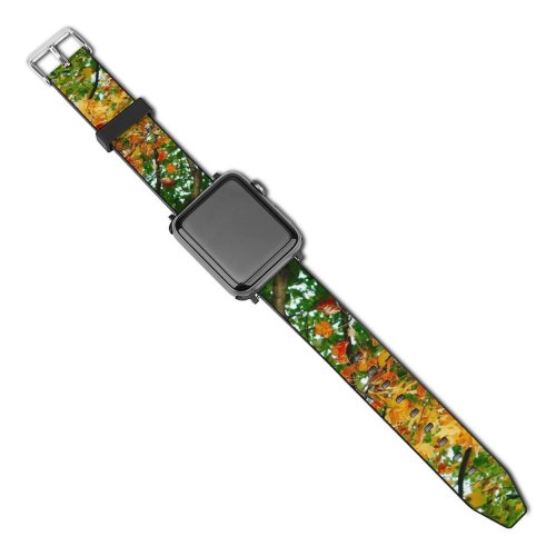 yanfind Watch Strap for Apple Watch Creative Wallpapers Images Plant Pictures Leaf Maple Tree Autumn 中国山东省青岛 Commons Compatible with iWatch Series 5 4 3 2 1