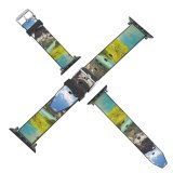 yanfind Watch Strap for Apple Watch Ceresole Reale Summer Mountains Lake Sunny Landscape Italy Compatible with iWatch Series 5 4 3 2 1