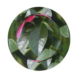 yanfind Adult Fisherman's Hat Poznań Petals Images Rose Floral Flora Petal Peony Flowers Wallpapers Plant Polska Fishing Fisherman Cap Travel Beach Sun protection