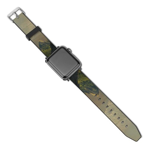 yanfind Watch Strap for Apple Watch Landscape Peak Romania Creative Rock Pictures Outdoors Tumblr HQ Range Ciucaș Compatible with iWatch Series 5 4 3 2 1