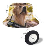 yanfind Adult Fisherman's Hat Lovely Images Golden Wallpapers Forest Harness Pictures Dog Pet Free Strap Fishing Fisherman Cap Travel Beach Sun protection