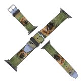 yanfind Watch Strap for Apple Watch Images Tanzania Free Wildlife Pictures Lion Serengeti Compatible with iWatch Series 5 4 3 2 1