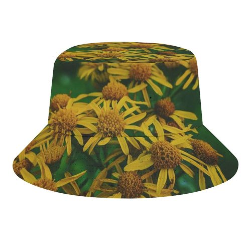 yanfind Adult Fisherman's Hat Images Fall Autumn Petal Wallpapers Plant Asteraceae Outdoors Pollen Free Pictures Daisy Fishing Fisherman Cap Travel Beach Sun protection