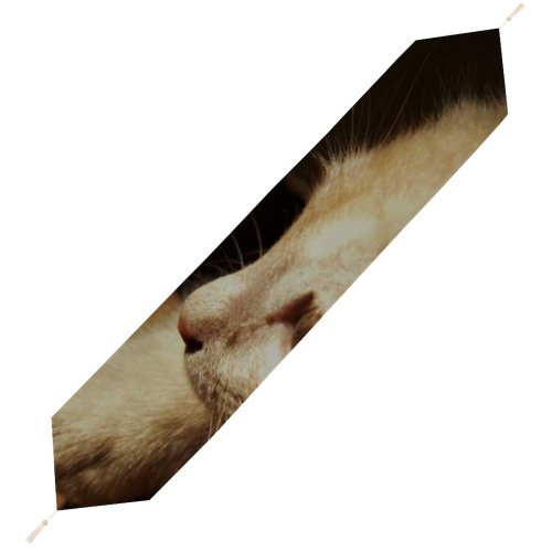 Yanfind Table Runner Funny Curiosity Cute Baby Young Little Eye Studio Portrait Pet Whisker Downy Everyday Dining Wedding Party Holiday Home Decor