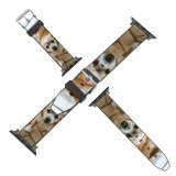 yanfind Watch Strap for Apple Watch Walkway Pet Strap Pavement Pictures Floor Stock Spaniel Flagstone Cocker Free Compatible with iWatch Series 5 4 3 2 1