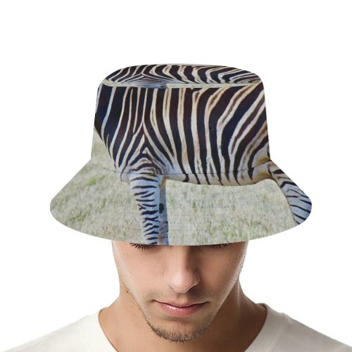 yanfind Adult Fisherman's Hat Open Images Wildlife Wallpapers Australia Stripes Zebra Pictures Werribee Grey PNG Park Fishing Fisherman Cap Travel Beach Sun protection