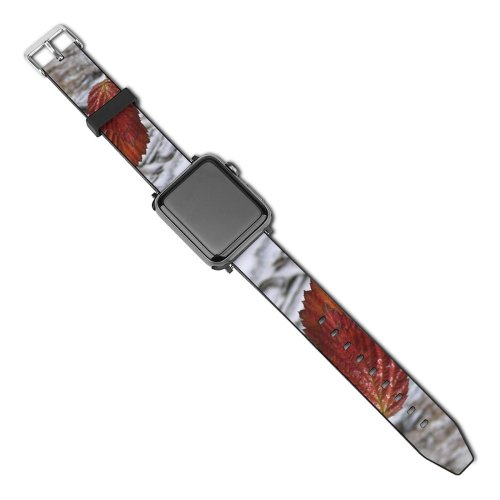 yanfind Watch Strap for Apple Watch Winter Colours Leaf Plant Twig Tree Botany Frost Winter Grey Alder Adaptation Compatible with iWatch Series 5 4 3 2 1