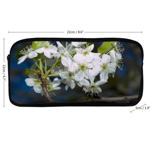 yanfind Pencil Case YHO May Flower Prunus Blossum Spring Sky Limb Spring Leaves Branch Plant Flowers Zipper Pens Pouch Bag for Student Office School