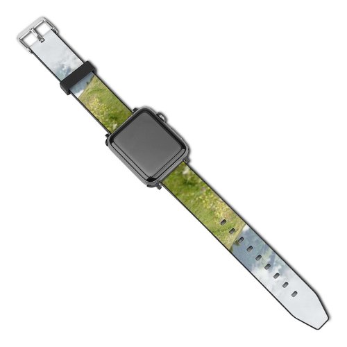 yanfind Watch Strap for Apple Watch Rural Countryside Abies Glarus Plant Creative Switzerland Farm Pictures Grassland Outdoors Compatible with iWatch Series 5 4 3 2 1