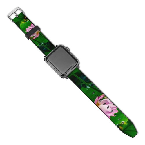 yanfind Watch Strap for Apple Watch Flower Images PNG Plant Lotus Leaf Pond  Lily Compatible with iWatch Series 5 4 3 2 1