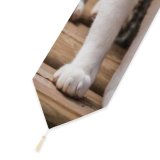 Yanfind Table Runner Young Kitty Grey Pet Wooden Outdoors Rocks Kitten Tabby Cute Floor Cat Everyday Dining Wedding Party Holiday Home Decor