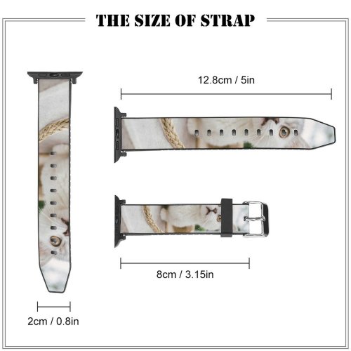 yanfind Watch Strap for Apple Watch Funny Curiosity Outdoors Sit Cute Little Street  Portrait Kitten Flower Pet Compatible with iWatch Series 5 4 3 2 1