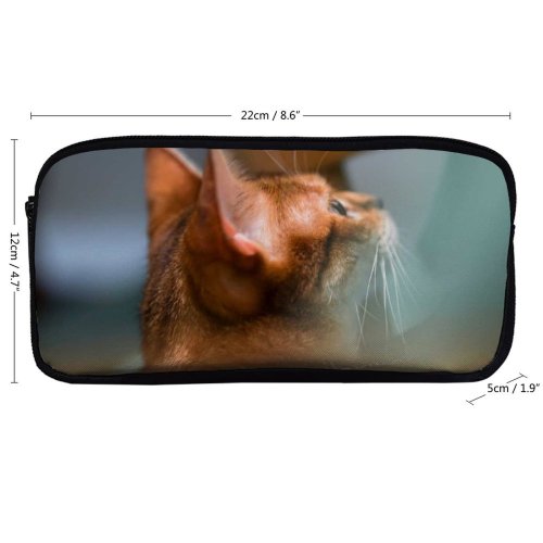 yanfind Pencil Case YHO Lovely Images Wuhan Wallpapers Grey China Abyssinian Pictures Pet Kitten Free Cat Zipper Pens Pouch Bag for Student Office School