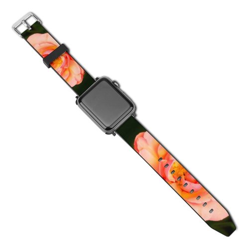 yanfind Watch Strap for Apple Watch Wallpapers Flower Petal Rose Geranium Plant  Creative Images Commons Compatible with iWatch Series 5 4 3 2 1