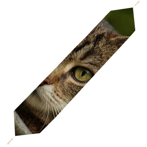Yanfind Table Runner Funny Curiosity Outdoors Cute Little Young Eye Portrait Staring Kitten Whisker Fur Everyday Dining Wedding Party Holiday Home Decor