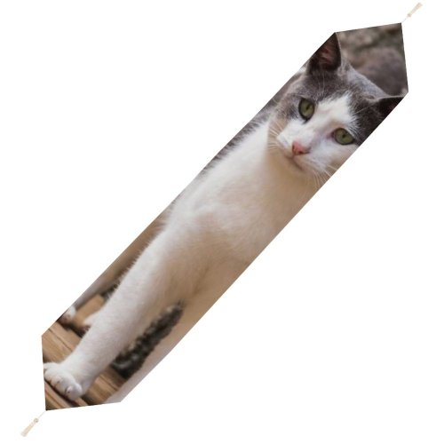 Yanfind Table Runner Young Kitty Grey Pet Wooden Outdoors Rocks Kitten Tabby Cute Floor Cat Everyday Dining Wedding Party Holiday Home Decor