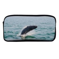yanfind Pencil Case YHO  Images  Ocean  Sea Wallpapers Wildlife  Harbor Travel Stock Zipper Pens Pouch Bag for Student Office School