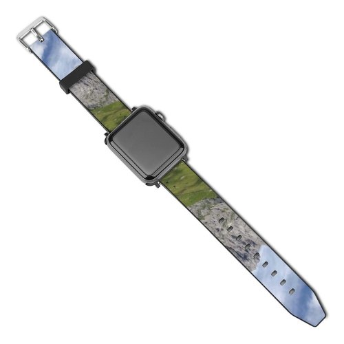 yanfind Watch Strap for Apple Watch Scenery Range Tree Sky Slope  Grass Domain Plant Public Austria Compatible with iWatch Series 5 4 3 2 1