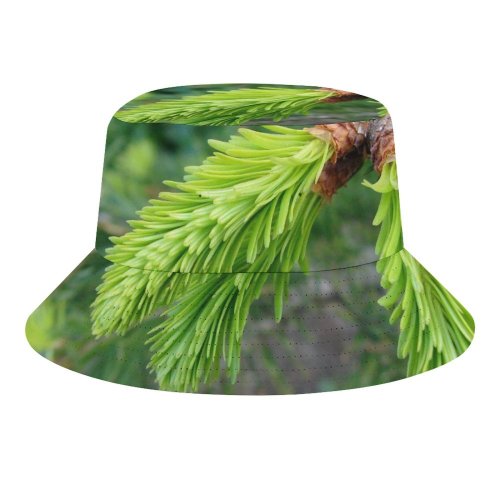 yanfind Adult Fisherman's Hat Winter Spruce Evergreen LyalliiSubalpine Balsam Cone Shortleaf Pine Loblolly Shortstraw Larix Larch Fishing Fisherman Cap Travel Beach Sun protection