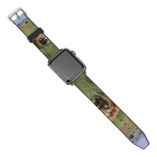 yanfind Watch Strap for Apple Watch Images Tanzania Free Wildlife Pictures Lion Serengeti Compatible with iWatch Series 5 4 3 2 1