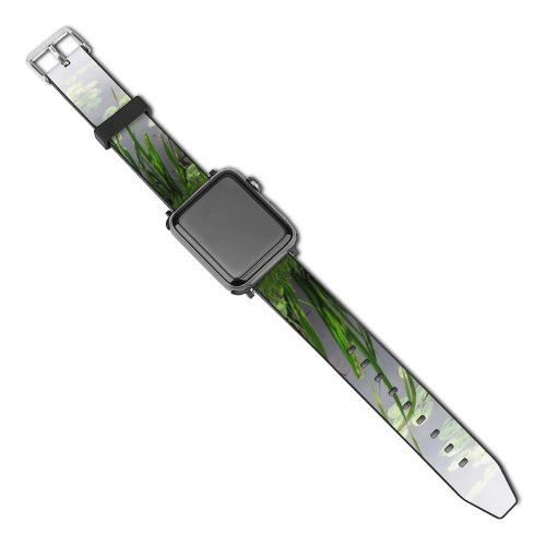 yanfind Watch Strap for Apple Watch Pond Tree Grass Magical Vegetation Plant Flower Botany Terrestrial Family Phragmites Spring Compatible with iWatch Series 5 4 3 2 1