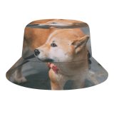 yanfind Adult Fisherman's Hat Lovely Images Pet HQ Mood Wallpapers Pup Shiba Pictures Moody Strap Flagstone Fishing Fisherman Cap Travel Beach Sun protection