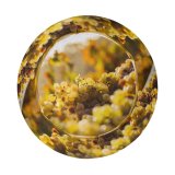 yanfind Adult Fisherman's Hat Images Flora Vine Vineyard Grapes Wallpapers Sunshine Plant Australia Produce Fruits Gold Fishing Fisherman Cap Travel Beach Sun protection