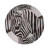 yanfind Adult Fisherman's Hat Images Wildlife Wallpapers Grey Zebra Pictures Public Domain Fishing Fisherman Cap Travel Beach Sun protection