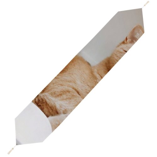Yanfind Table Runner Funny Curiosity Sit Cute Little Young Eye Studio Portrait Family Kitten Whisker Everyday Dining Wedding Party Holiday Home Decor