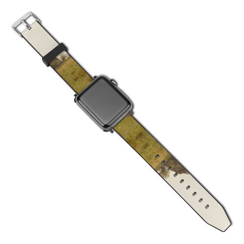 yanfind Watch Strap for Apple Watch Rural Savanna Building Countryside Housing Plant Pasture Farm Pictures Grassland Outdoors Compatible with iWatch Series 5 4 3 2 1