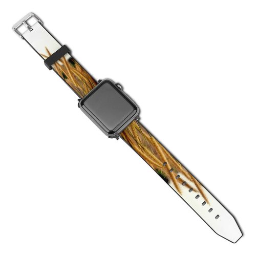 yanfind Watch Strap for Apple Watch Sunset  Light  Gold Golden Plant Wild Wilderness Fuzzy Furry Swish Compatible with iWatch Series 5 4 3 2 1