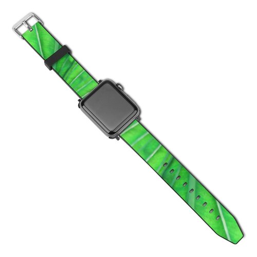 yanfind Watch Strap for Apple Watch Translucent Leaf Plant Botany Garden Mata Hoja Blatt Vegetation Terrestrial Flower Grass Compatible with iWatch Series 5 4 3 2 1